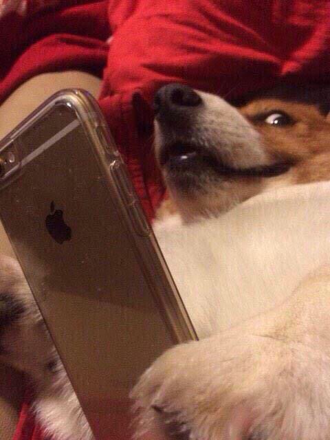 Chrisjoines1 Blank Meme Template