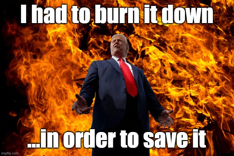 I had to burn it down ...in order to save it | made w/ Imgflip meme maker