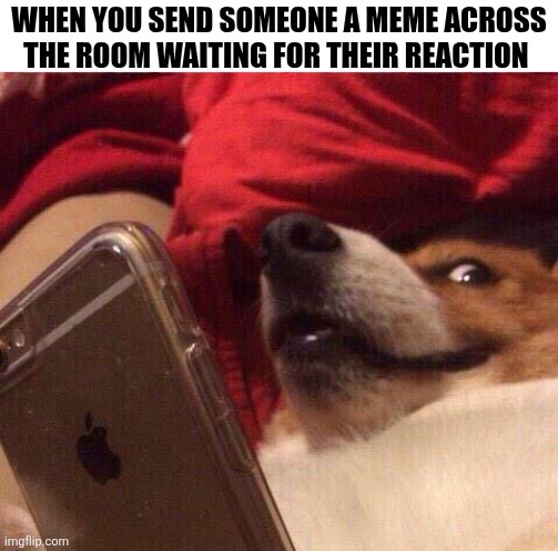 When You Send Someone A Meme | WHEN YOU SEND SOMEONE A MEME ACROSS THE ROOM WAITING FOR THEIR REACTION | image tagged in chrisjoines1 | made w/ Imgflip meme maker
