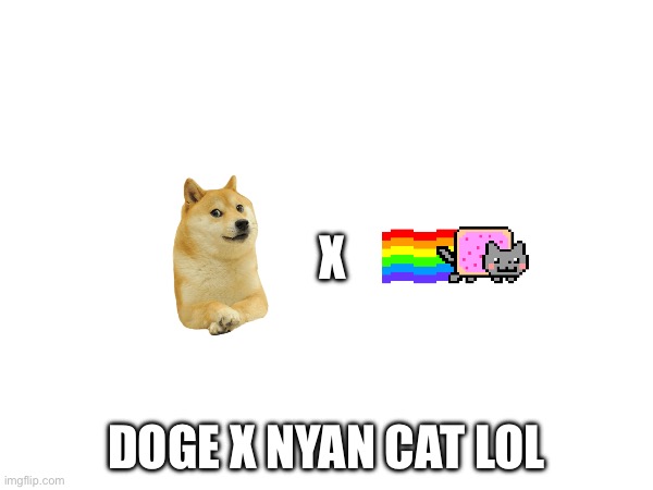 X; DOGE X NYAN CAT LOL | made w/ Imgflip meme maker