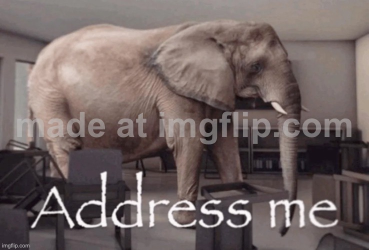 Address me | image tagged in address me | made w/ Imgflip meme maker