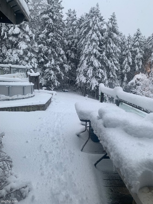 Are we for real | made w/ Imgflip meme maker