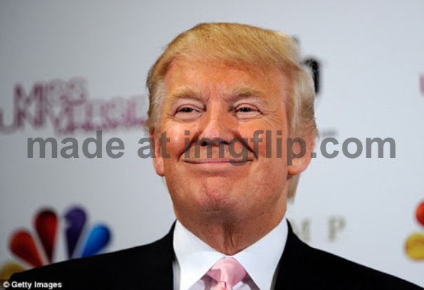 Donald trump approves | image tagged in donald trump approves | made w/ Imgflip meme maker