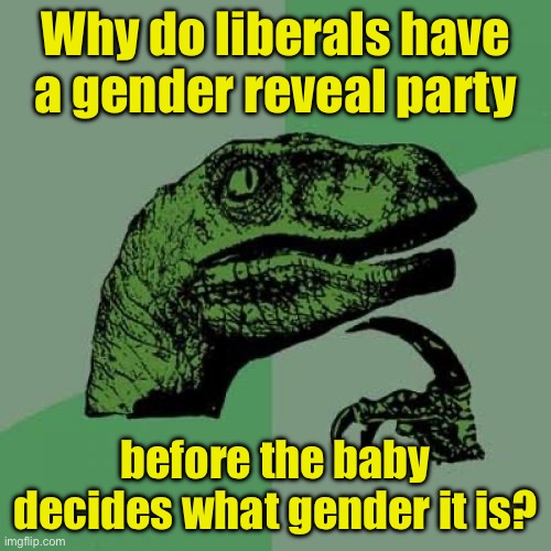 Why? | Why do liberals have a gender reveal party; before the baby decides what gender it is? | image tagged in memes,philosoraptor,gender identity | made w/ Imgflip meme maker