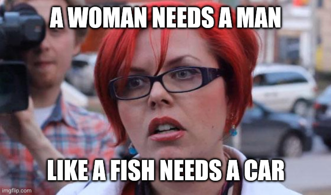 Angry Feminist | A WOMAN NEEDS A MAN LIKE A FISH NEEDS A CAR | image tagged in angry feminist | made w/ Imgflip meme maker