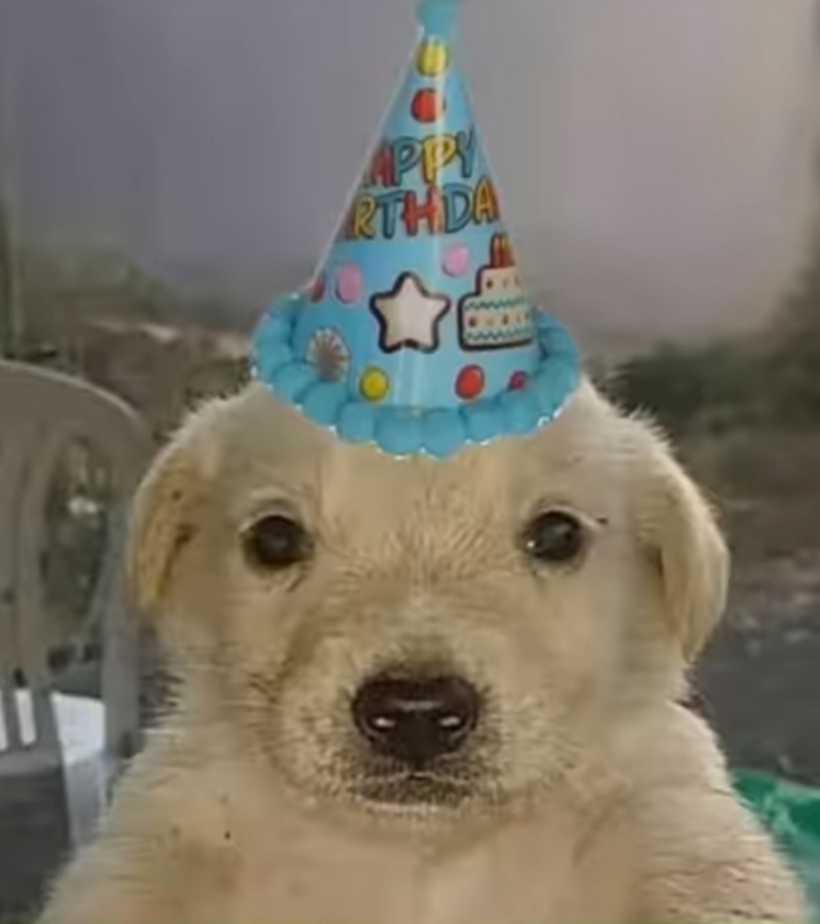 Birthday time :D Blank Meme Template