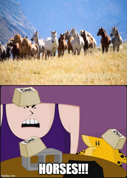 Find the difference. | HORSES!!! | image tagged in horses,homestar runner,memes,corporate wants you to find the difference,oh wow are you actually reading these tags,horse | made w/ Imgflip meme maker