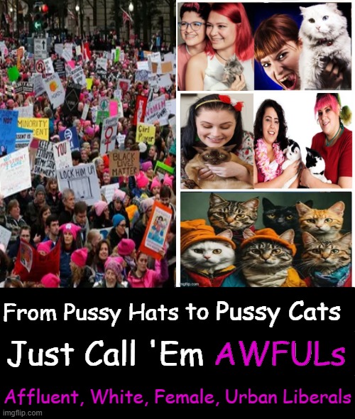 Patronizing Female Progressives Wear the Pants in Peaceful Protests | Pussy Cats; to; From Pussy Hats; AWFULs; Just Call 'Em AWFULs; Affluent, White, Female, Urban Liberals | image tagged in single white females,pussy cats,progressives,awful,liberals,political humor | made w/ Imgflip meme maker