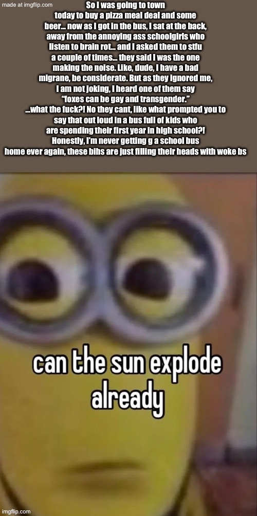 In short, that’s how my day gets ruined easily | So I was going to town today to buy a pizza meal deal and some beer… now as I got in the bus, I sat at the back, away from the annoying ass schoolgirls who listen to brain rot… and I asked them to stfu a couple of times… they said I was the one making the noise. Like, dude, I have a bad migrane, be considerate. But as they ignored me, I am not joking, I heard one of them say “foxes can be gay and transgender.”
…what the fuck?! No they cant, like what prompted you to say that out loud in a bus full of kids who are spending their first year in high school?! Honestly, I’m never getting g a school bus home ever again, these bihs are just filling their heads with woke bs | image tagged in can the sun explode already | made w/ Imgflip meme maker