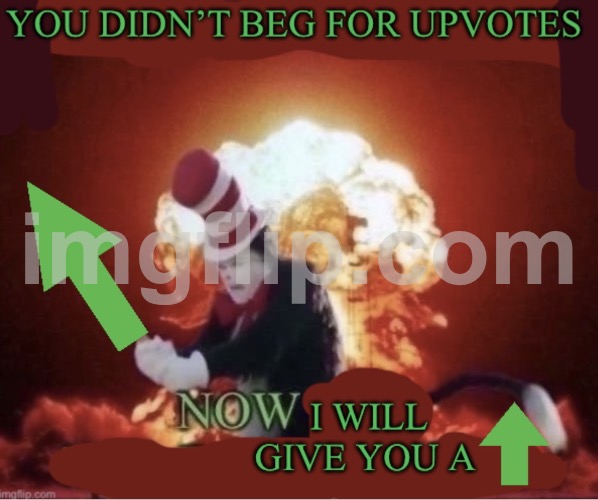 You didn’t beg for upvotes | image tagged in you didn t beg for upvotes | made w/ Imgflip meme maker