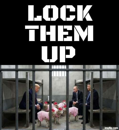 LOCK THEM UP | LOCK; THEM; UP | image tagged in lock him up,trump,putin,xi jinping,maga,war criminal | made w/ Imgflip meme maker