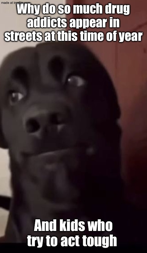 I guess bro | Why do so much drug addicts appear in streets at this time of year; And kids who try to act tough | image tagged in i guess bro | made w/ Imgflip meme maker