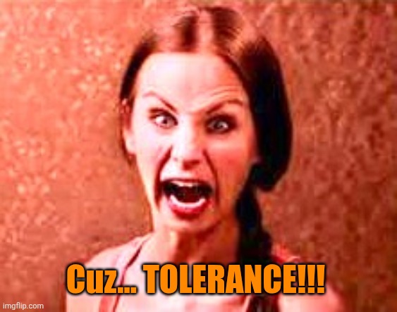 Crazy liberal | Cuz... TOLERANCE!!! | image tagged in crazy liberal | made w/ Imgflip meme maker