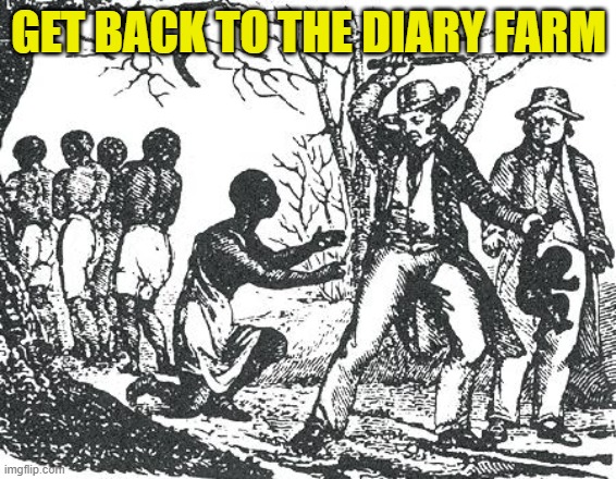 O'Reilly slavery | GET BACK TO THE DIARY FARM | image tagged in o'reilly slavery | made w/ Imgflip meme maker