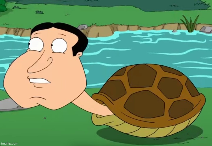 Quagtle | image tagged in quagtle | made w/ Imgflip meme maker