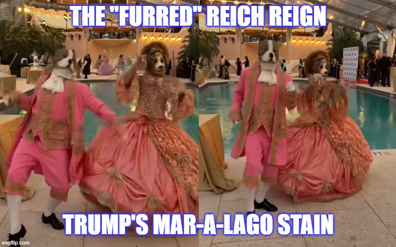 Furry Fanatic | THE "FURRED" REICH REIGN; TRUMP'S MAR-A-LAGO STAIN | image tagged in politics,funny | made w/ Imgflip meme maker