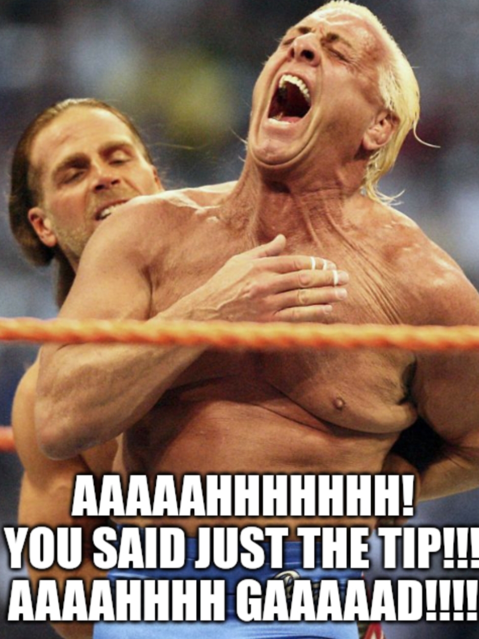 Just the tip doc Blank Meme Template