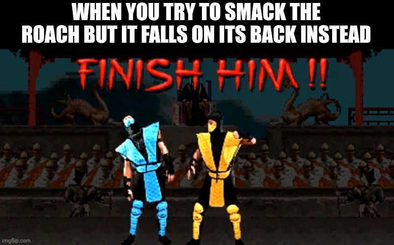 Finish Him | WHEN YOU TRY TO SMACK THE ROACH BUT IT FALLS ON ITS BACK INSTEAD | image tagged in finish him | made w/ Imgflip meme maker