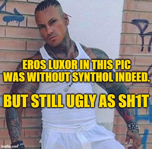 Eros Luxor when he was "natural" (when i was much more younger and i didn't even know his existence) | EROS LUXOR IN THIS PIC WAS WITHOUT SYNTHOL INDEED. BUT STILL UGLY AS SH1T | made w/ Imgflip meme maker