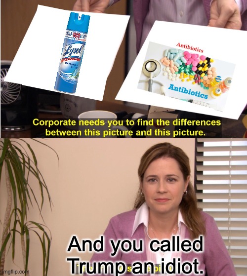 Some people | And you called Trump an idiot. | image tagged in memes,they're the same picture | made w/ Imgflip meme maker