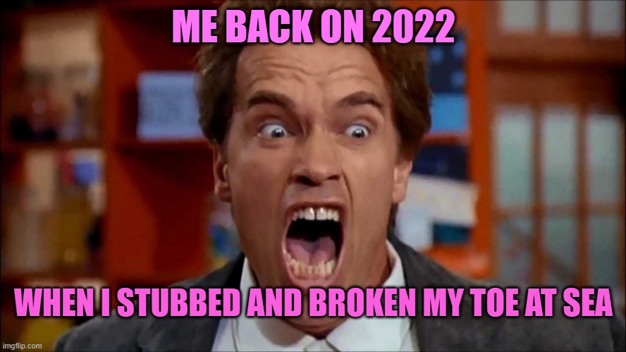 Arnold screaming | ME BACK ON 2022; WHEN I STUBBED AND BROKEN MY TOE AT SEA | image tagged in arnold screaming | made w/ Imgflip meme maker