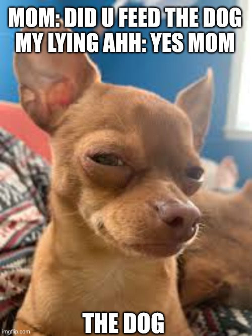 the dog is hungry | MOM: DID U FEED THE DOG
MY LYING AHH: YES MOM; THE DOG | image tagged in funny | made w/ Imgflip meme maker