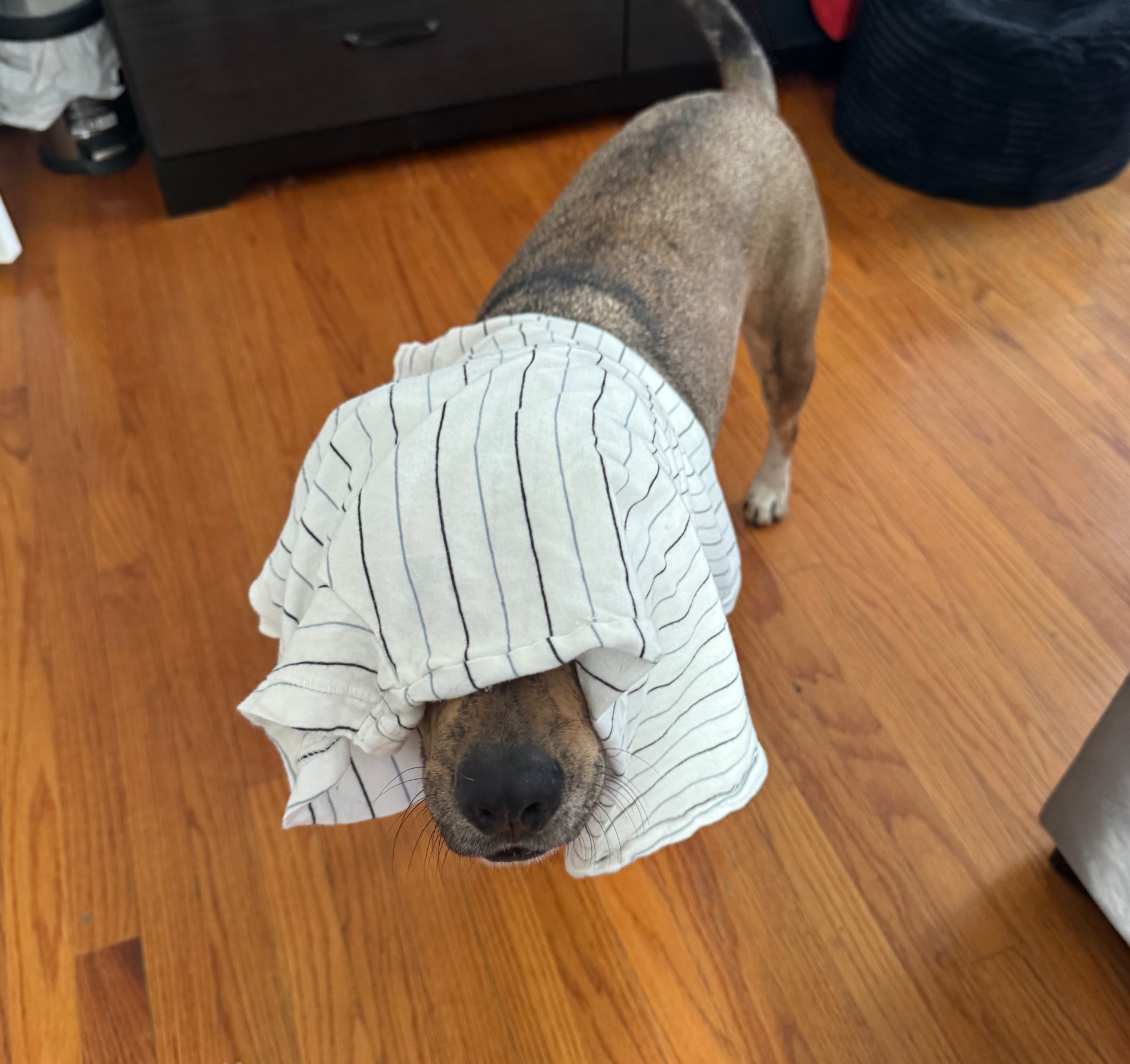 ghost… Blank Meme Template