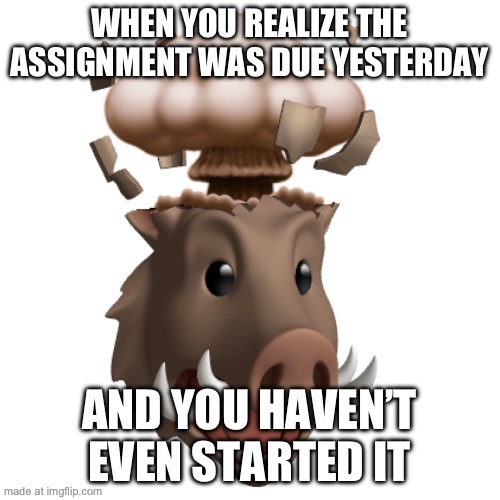 Boar Head explode | WHEN YOU REALIZE THE ASSIGNMENT WAS DUE YESTERDAY AND YOU HAVEN’T EVEN STARTED IT | image tagged in boar head explode | made w/ Imgflip meme maker