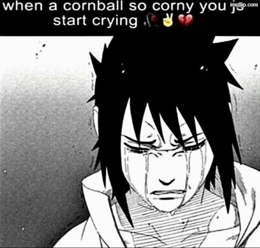 When a cornball so corny you js start crying | image tagged in when a cornball so corny you js start crying | made w/ Imgflip meme maker