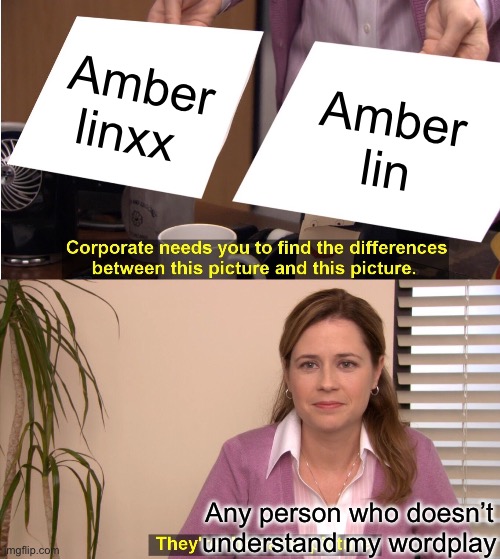Linxx is pronounced Lynx | Amber linxx; Amber lin; Any person who doesn’t understand my wordplay | image tagged in memes,they're the same picture | made w/ Imgflip meme maker