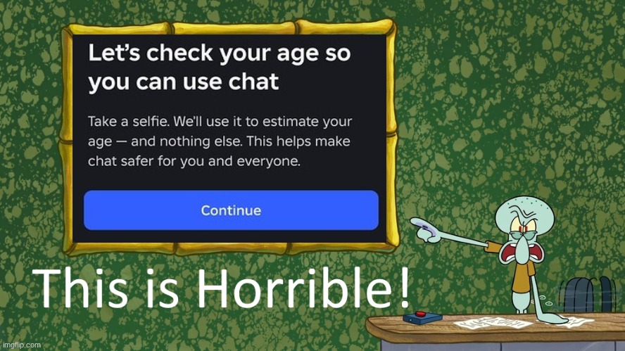 The Roblox age verification needs to be banned! | image tagged in squidward says x is horrible | made w/ Imgflip meme maker