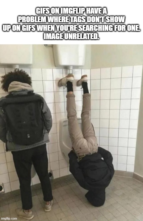 You can't search for tags well on gifs. What's up with that? | GIFS ON IMGFLIP HAVE A PROBLEM WHERE TAGS DON'T SHOW UP ON GIFS WHEN YOU'RE SEARCHING FOR ONE.
IMAGE UNRELATED. | image tagged in you cant,search,tags,well,on,gifs | made w/ Imgflip meme maker