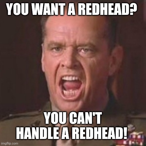 You can't handle a redhead | YOU WANT A REDHEAD? YOU CAN'T HANDLE A REDHEAD! | image tagged in you can't handle the truth | made w/ Imgflip meme maker