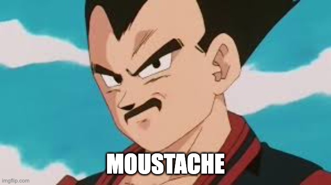 vegeta moustache | MOUSTACHE | image tagged in vegeta moustache | made w/ Imgflip meme maker