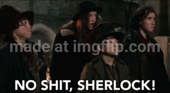 No shit sherlock | image tagged in no shit sherlock | made w/ Imgflip meme maker