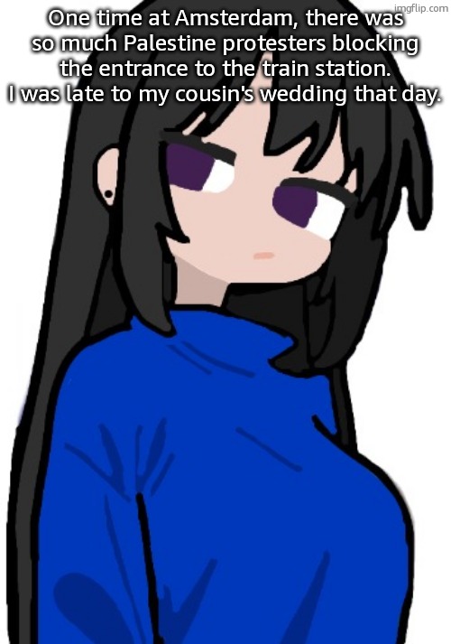 I don't drive alot. Trains and Trams are my heroes | One time at Amsterdam, there was so much Palestine protesters blocking the entrance to the train station. I was late to my cousin's wedding that day. | image tagged in nonchalant look | made w/ Imgflip meme maker