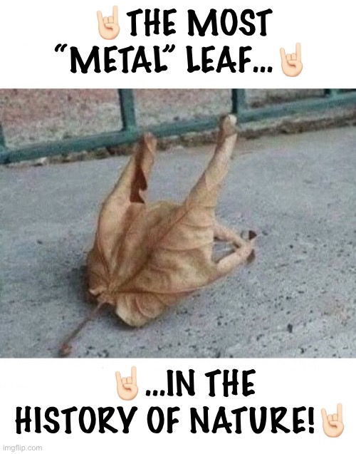 Dio would be proud! | 🤘🏻THE MOST “METAL” LEAF…🤘🏻; 🤘🏻…IN THE HISTORY OF NATURE!🤘🏻 | image tagged in heavy metal,leaf,the horns,metal salute,dio would be proud | made w/ Imgflip meme maker