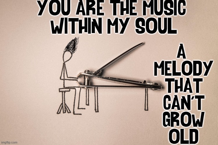 True Love | YOU ARE THE MUSIC 
WITHIN MY SOUL; A 
MELODY
THAT
CAN'T
GROW
OLD | image tagged in vince vance,nail clippers,memes,love,piano,cartoon | made w/ Imgflip meme maker