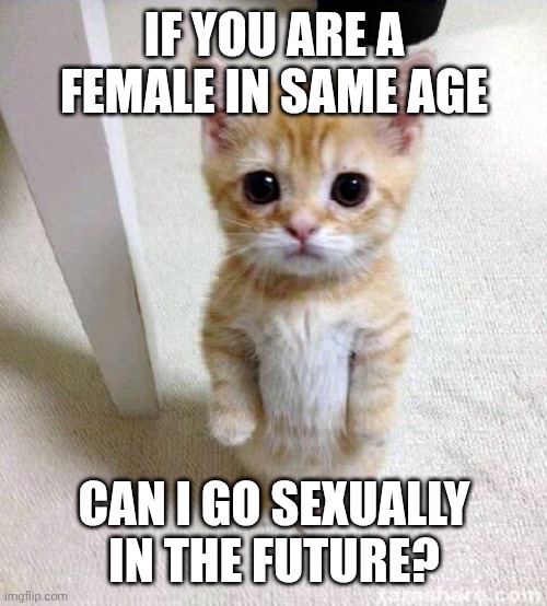 Ahhhh | IF YOU ARE A FEMALE IN SAME AGE; CAN I GO SEXUALLY IN THE FUTURE? | image tagged in memes,cute cat,nsfw,sus | made w/ Imgflip meme maker