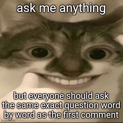 bombastic side eye cat v3 | ask me anything; but everyone should ask the same exact question word by word as the first comment | image tagged in bombastic side eye cat v3 | made w/ Imgflip meme maker