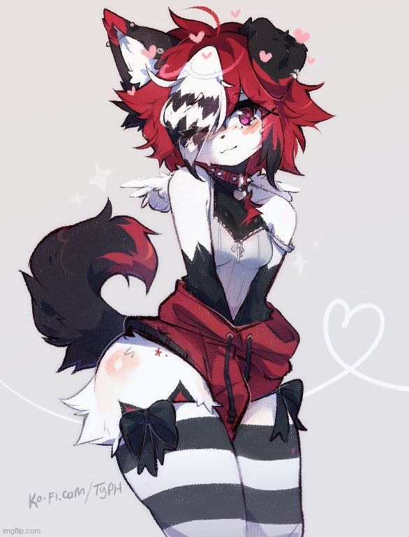 furry :P Blank Meme Template