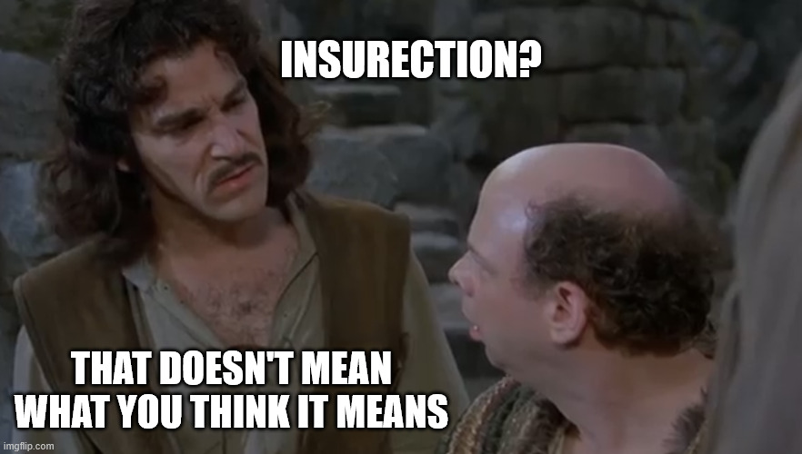 INSURECTION? THAT DOESN'T MEAN WHAT YOU THINK IT MEANS | image tagged in you keep using that word | made w/ Imgflip meme maker