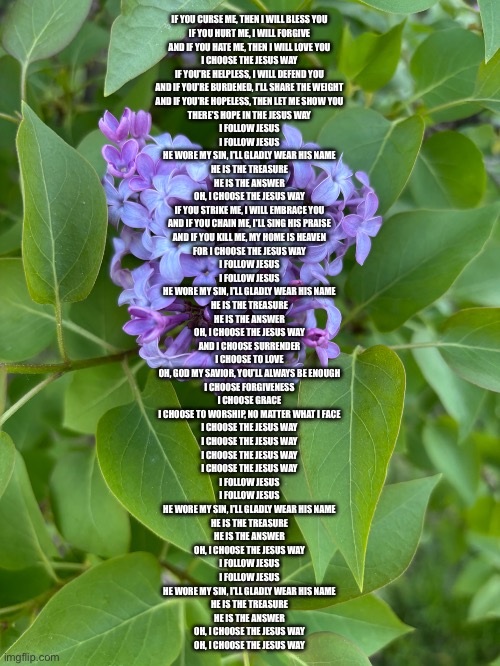 The Jesus Way - Phil Wickham | IF YOU CURSE ME, THEN I WILL BLESS YOU
IF YOU HURT ME, I WILL FORGIVE
AND IF YOU HATE ME, THEN I WILL LOVE YOU
I CHOOSE THE JESUS WAY
IF YOU'RE HELPLESS, I WILL DEFEND YOU
AND IF YOU'RE BURDENED, I'LL SHARE THE WEIGHT
AND IF YOU'RE HOPELESS, THEN LET ME SHOW YOU
THERE'S HOPE IN THE JESUS WAY
I FOLLOW JESUS
I FOLLOW JESUS
HE WORE MY SIN, I'LL GLADLY WEAR HIS NAME
HE IS THE TREASURE
HE IS THE ANSWER
OH, I CHOOSE THE JESUS WAY
IF YOU STRIKE ME, I WILL EMBRACE YOU
AND IF YOU CHAIN ME, I'LL SING HIS PRAISE
AND IF YOU KILL ME, MY HOME IS HEAVEN
FOR I CHOOSE THE JESUS WAY
I FOLLOW JESUS
I FOLLOW JESUS
HE WORE MY SIN, I'LL GLADLY WEAR HIS NAME
HE IS THE TREASURE
HE IS THE ANSWER
OH, I CHOOSE THE JESUS WAY
AND I CHOOSE SURRENDER
I CHOOSE TO LOVE
OH, GOD MY SAVIOR, YOU'LL ALWAYS BE ENOUGH
I CHOOSE FORGIVENESS
I CHOOSE GRACE
I CHOOSE TO WORSHIP, NO MATTER WHAT I FACE
I CHOOSE THE JESUS WAY
I CHOOSE THE JESUS WAY
I CHOOSE THE JESUS WAY
I CHOOSE THE JESUS WAY
I FOLLOW JESUS
I FOLLOW JESUS
HE WORE MY SIN, I'LL GLADLY WEAR HIS NAME
HE IS THE TREASURE
HE IS THE ANSWER
OH, I CHOOSE THE JESUS WAY
I FOLLOW JESUS
I FOLLOW JESUS
HE WORE MY SIN, I'LL GLADLY WEAR HIS NAME
HE IS THE TREASURE
HE IS THE ANSWER
OH, I CHOOSE THE JESUS WAY
OH, I CHOOSE THE JESUS WAY | image tagged in jesus,lilac,flowers,the jesus way,song lyrics | made w/ Imgflip meme maker