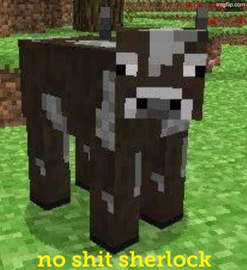 No Shit Sherlock | image tagged in no shit sherlock | made w/ Imgflip meme maker