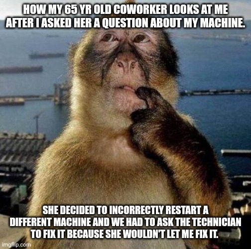 Employment Core | HOW MY 65 YR OLD COWORKER LOOKS AT ME AFTER I ASKED HER A QUESTION ABOUT MY MACHINE. SHE DECIDED TO INCORRECTLY RESTART A DIFFERENT MACHINE AND WE HAD TO ASK THE TECHNICIAN TO FIX IT BECAUSE SHE WOULDN'T LET ME FIX IT. | image tagged in work | made w/ Imgflip meme maker