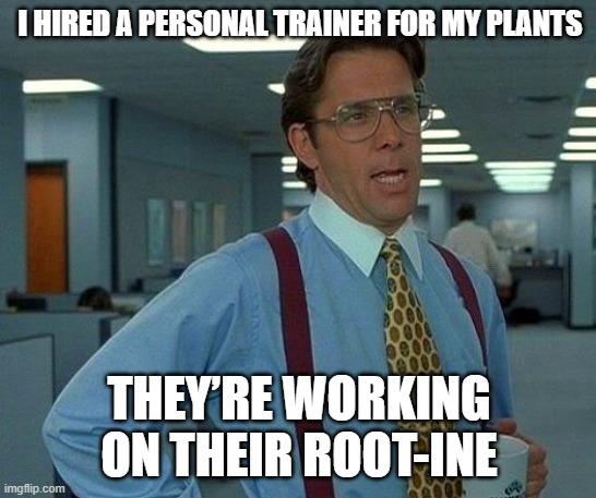 That Would Be Great | I HIRED A PERSONAL TRAINER FOR MY PLANTS; THEY’RE WORKING ON THEIR ROOT-INE | image tagged in memes,that would be great | made w/ Imgflip meme maker