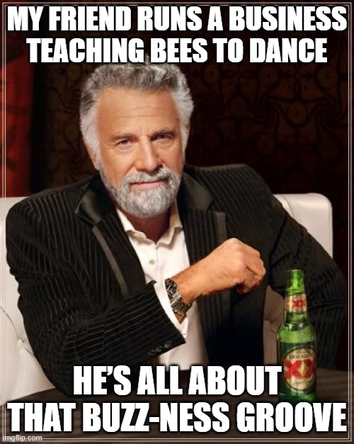 The Most Interesting Man In The World | MY FRIEND RUNS A BUSINESS TEACHING BEES TO DANCE; HE’S ALL ABOUT THAT BUZZ-NESS GROOVE | image tagged in memes,the most interesting man in the world | made w/ Imgflip meme maker