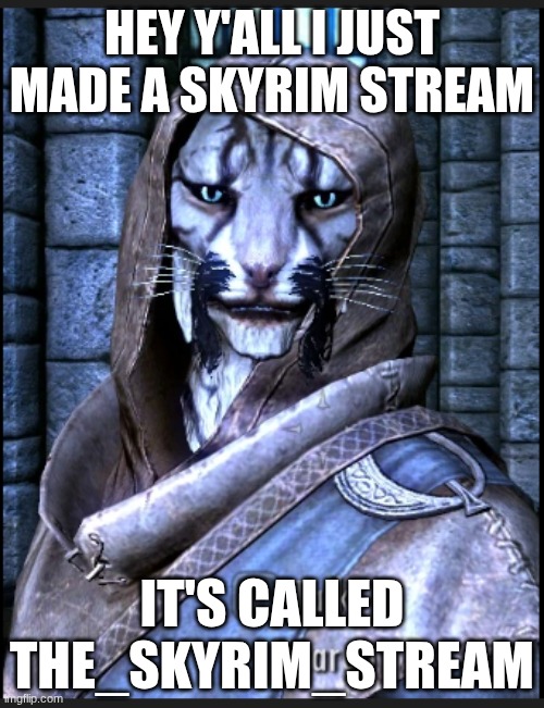 The_Skyrim_Stream | HEY Y'ALL I JUST MADE A SKYRIM STREAM; IT'S CALLED THE_SKYRIM_STREAM | image tagged in skyrim,j'zargo,new stream | made w/ Imgflip meme maker