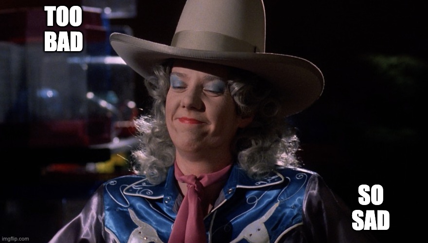 too bad so sad | TOO
BAD; SO
SAD | image tagged in smug pet shop cowgirl | made w/ Imgflip meme maker