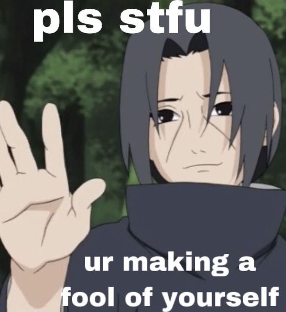 Stfu your making a fool of yourself Blank Meme Template